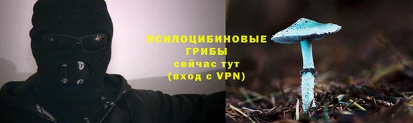 тгк Алзамай