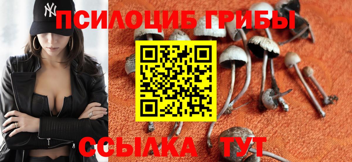 Псилоцибиновые грибы GOLDEN TEACHER  Вход с VPN  Дзержинск 